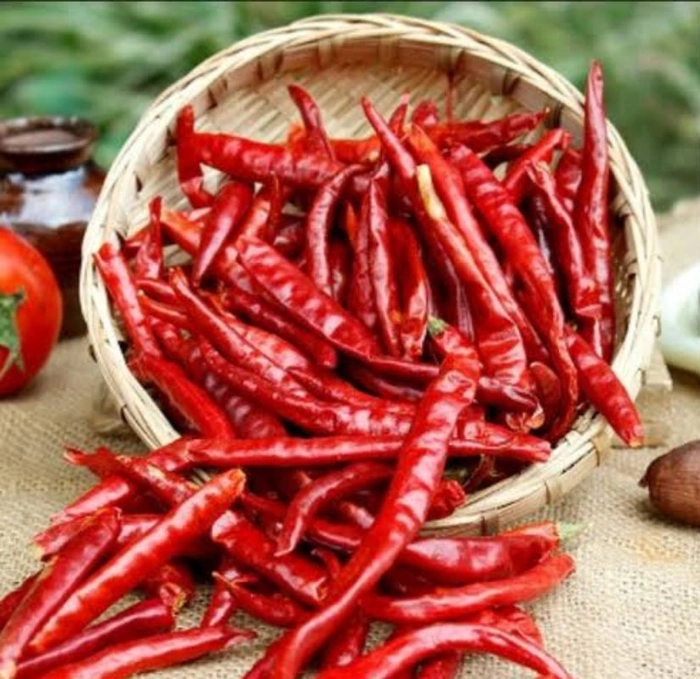 Dry Red Chilli